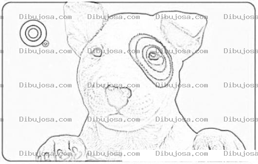 Dibujo para colorear Target Dog Coloring Page