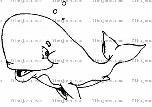 Dibujo para colorear Colorear Ballena Bebe
