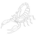 Dibujo para colorear Colorear Alacran Escorpion