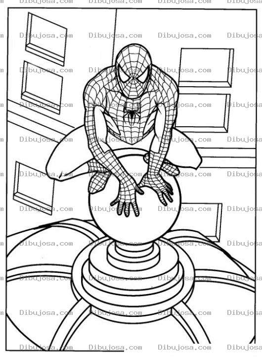 Dibujo para colorear Colorear Spider Man Sobre Domo