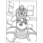 Dibujo para colorear Colorear Spider Man Sobre Domo