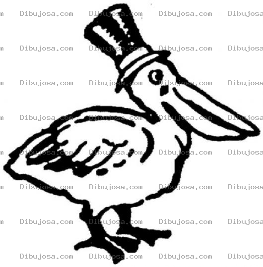 Dibujo para colorear Pelicano Con Sombrero Para Colorear Y Pintar