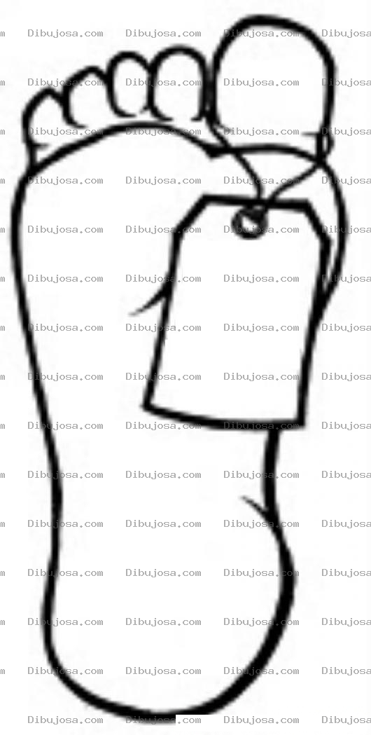 Dibujo para colorear Pie De Muerto Para Colorear Y Pintar