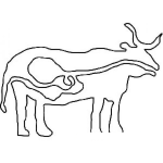 Dibujo para colorear Colorear Estomago De Vaca