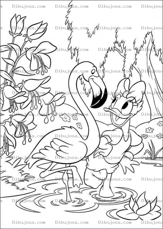 Dibujo para colorear Colorear a Daisy con un Flamingo