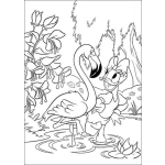 Dibujo para colorear Colorear a Daisy con un Flamingo