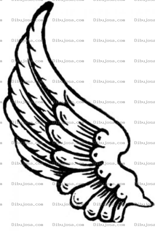 Dibujo para colorear Ala De Angel Para Colorear