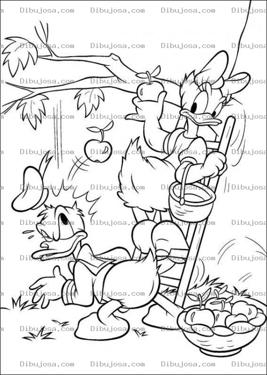 Dibujo para colorear Colorear al pato donald y a mimi cortando manzanas