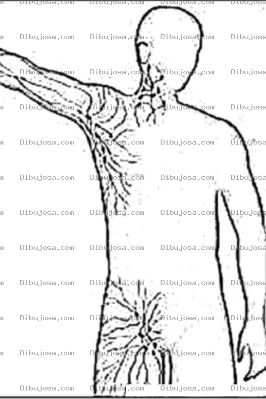 Dibujo para colorear Linfoma No Hodkin Lamina Para Colorear Y Pintar