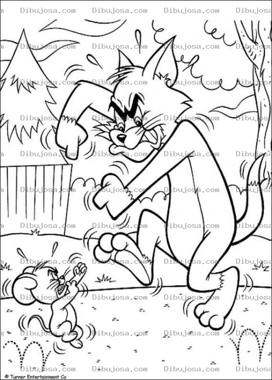 Dibujo para colorear Tom y Jerry a punto de pelear