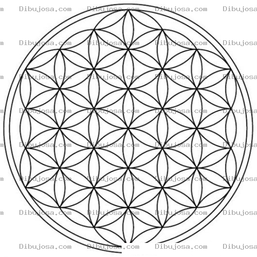 Dibujo para colorear Flor De La Vida Para Pintar Y Colorear Flordelavida