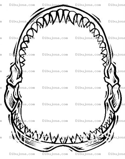 Dibujo para colorear Dientes De Tiburon Para Colorear Mandibula Del Tiburon Dientesdetiburon