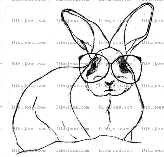 Dibujo para colorear Conejo Con Anteojos Por Falta De Zanahoria Para Colorear