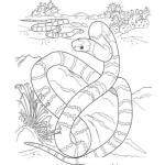 Dibujo para colorear Dibujo De Culebras Y Serpientes Para Pintar Y Colorear