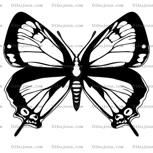 Dibujo para colorear Pintar Mariposa con alas extendidas