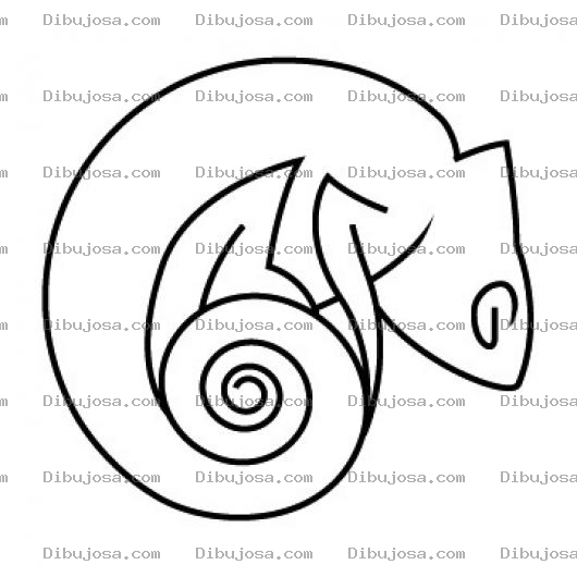 Dibujo para colorear Dibujo De Camaleon Para Pintar Y Colorear