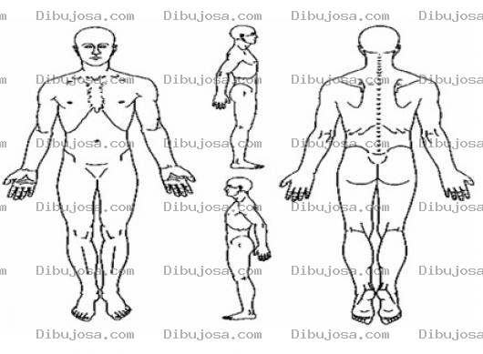 Dibujo para colorear Dibujo Del Cuerpo Humano De Frente De Espalda Y De Costados Para Pintar Y Colorear