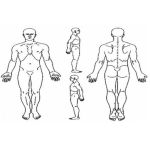 Dibujo para colorear Dibujo Del Cuerpo Humano De Frente De Espalda Y De Costados Para Pintar Y Colorear