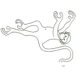 Dibujo para colorear Mono Trepador Patas Arriba Para Pintar Y Colorear