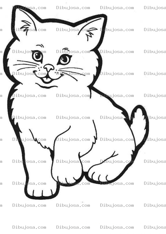 Dibujo para colorear Pintar Gato