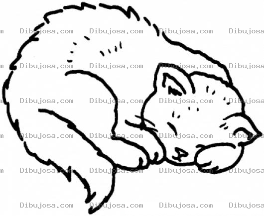 Dibujo para colorear colorear gato durmiendo
