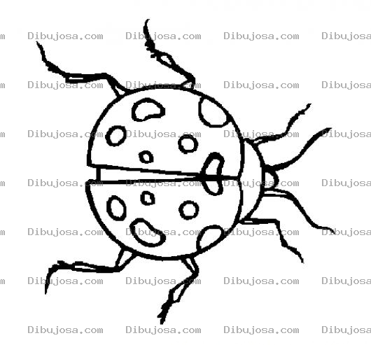 Dibujo para colorear Escarabajo Para Pintar Y Colorear