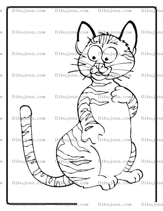 Dibujo para colorear colorear gato asustado