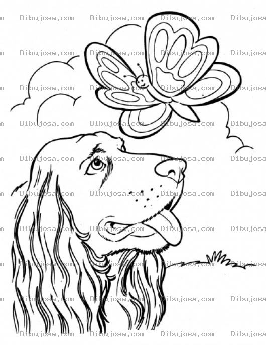 Dibujo para colorear Dibujo De Perro Con Mariposa Para Pintar Y Colorear