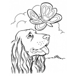 Dibujo para colorear Dibujo De Perro Con Mariposa Para Pintar Y Colorear