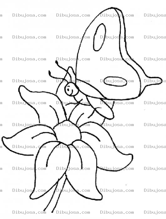 Dibujo para colorear Dibujo De Mariposa Sobre Una Flor Para Pintar Y Colorear