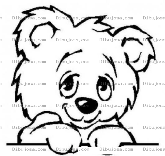 Dibujo para colorear Dibujo De Osito Timido Para Pintar Y Colorear