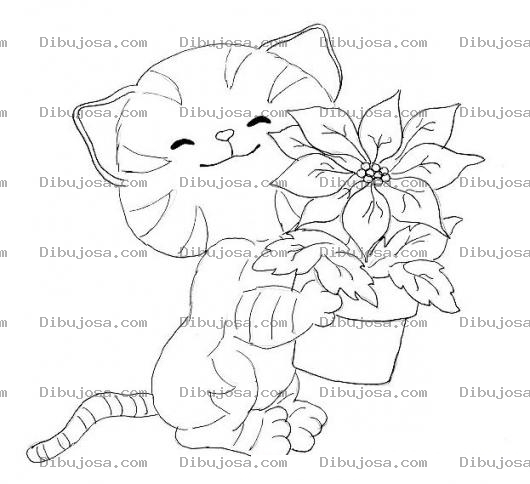 Dibujo para colorear colorear gato con maceta