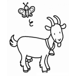Dibujo para colorear Dibujo De Mariposa Y Cabra Para Pintar Y Colorear