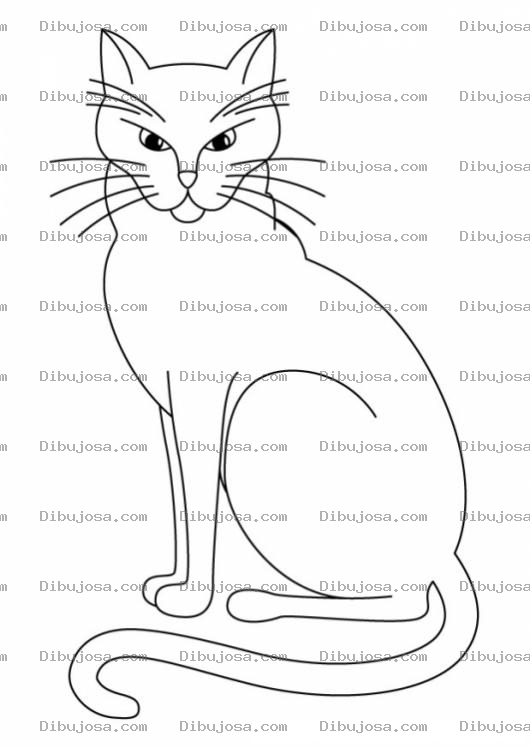 Dibujo para colorear Colorear gato feo pero elegante