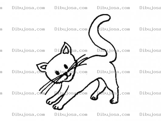 Dibujo para colorear Pintar Gato tiernito
