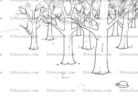Dibujo para colorear Dibujo De Bosque Para Pintar Y Colorear