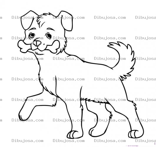 Dibujo para colorear Colorar Perro