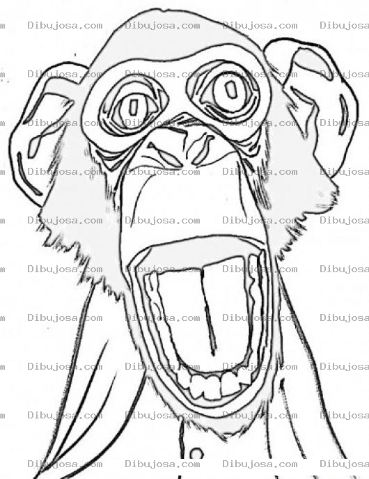 Dibujo para colorear Dibujo De Mono Asustado Para Pintar Y Colrear