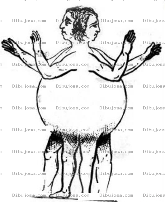 Dibujo para colorear Dibujo De Siames Gordo Para Pintar Y Colorear Hermanos Siameses Gorditos