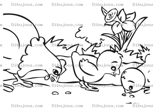 Dibujo para colorear Dibujo De Gallina Con Pollitos Para Pintar Y Colorear