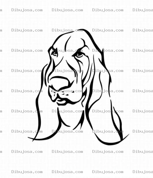 Dibujo para colorear Pintar Perro Orejon