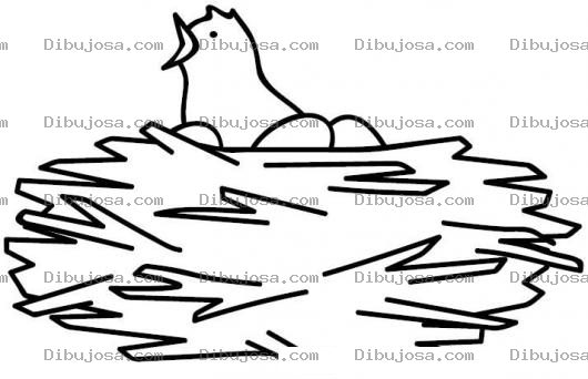 Dibujo para colorear Dibujo De Pajarito Cuidando Huevos En Su Nido Para Pintar Y Colorear