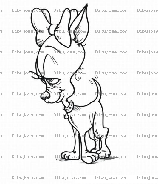 Dibujo para colorear Colorear perra chiguagua vieja