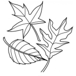 Dibujo para colorear Hojas De Otono Para Pintar Y Colorear
