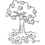 Dibujo para colorear Dibujo Para Pintar Y Colorear Las Partes De Un Arbol
