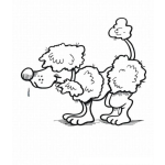Dibujo para colorear Colorear Perro French poodle