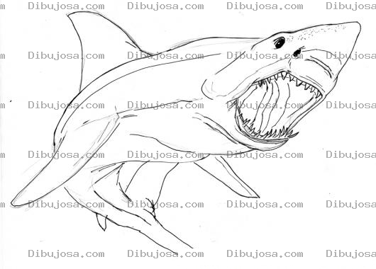 Dibujo para colorear Tiburon Con Boca Abierta Para Pintar Y Colorear Colmillos De Tiburon