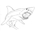 Dibujo para colorear Tiburon Con Boca Abierta Para Pintar Y Colorear Colmillos De Tiburon
