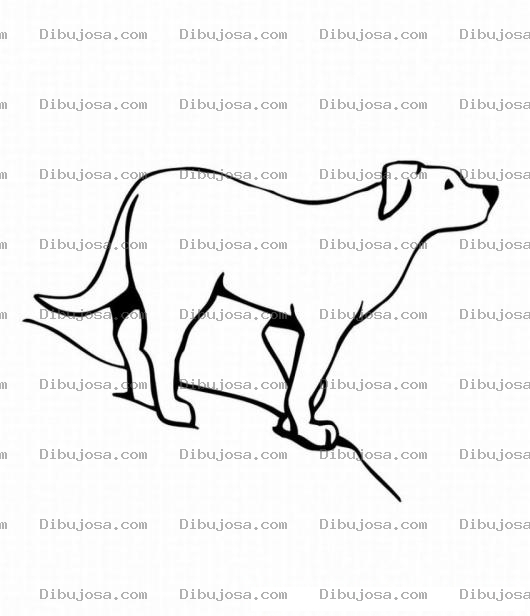 Dibujo para colorear Colorear Perro en colina