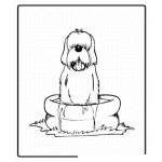 Dibujo para colorear Colorear Perro en piscina de miados